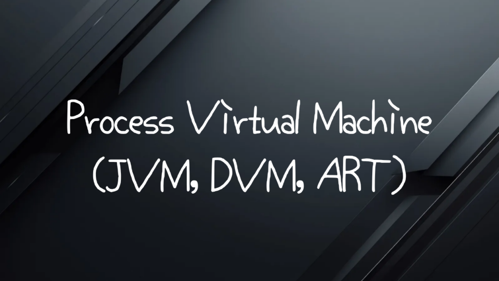 Process Virtual Machine